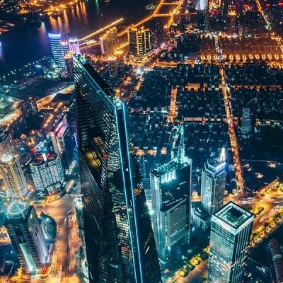 动物果冻手游下载