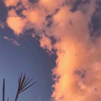 卧虎藏龙公益服下载