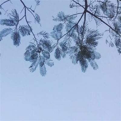 星月传说手游官方